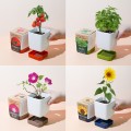 4종 투톤 사각 화분 식물 키우기 반려 식물 열매 기르기 미니 정원 초등 과학 자연 탐구