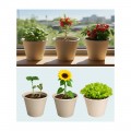 6종 친환경 식물 키우기 씨앗 배양토 세트 생분해성 종이 화분 관찰 학습 환경 교육 원예